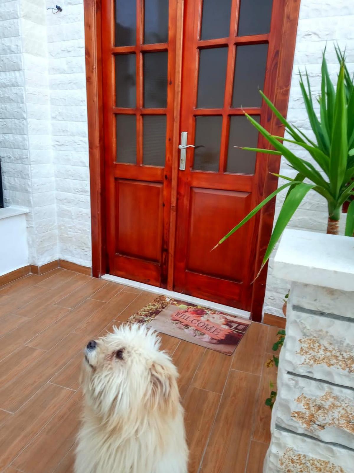 Twins Villa Mangalem Berat Extérieur photo