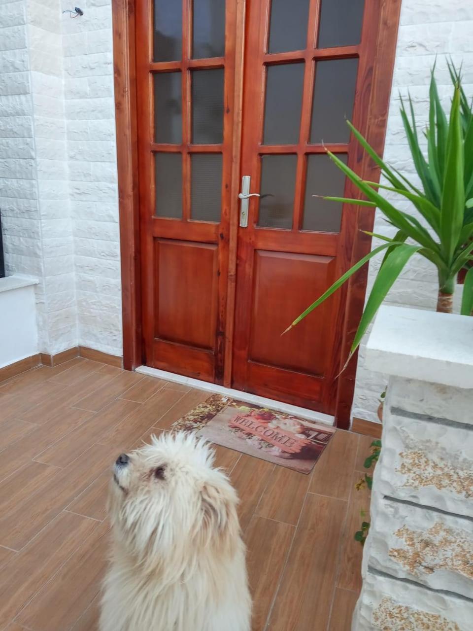 Twins Villa Mangalem Berat Chambre photo